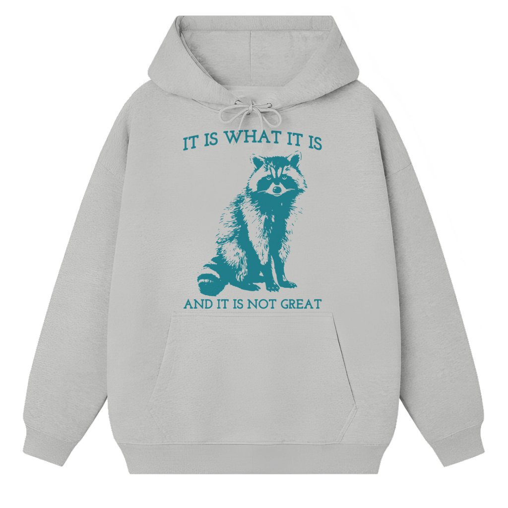 It Is What It Is Funny Raccoon Hoodie – Mental Health Gift Vintage - front view