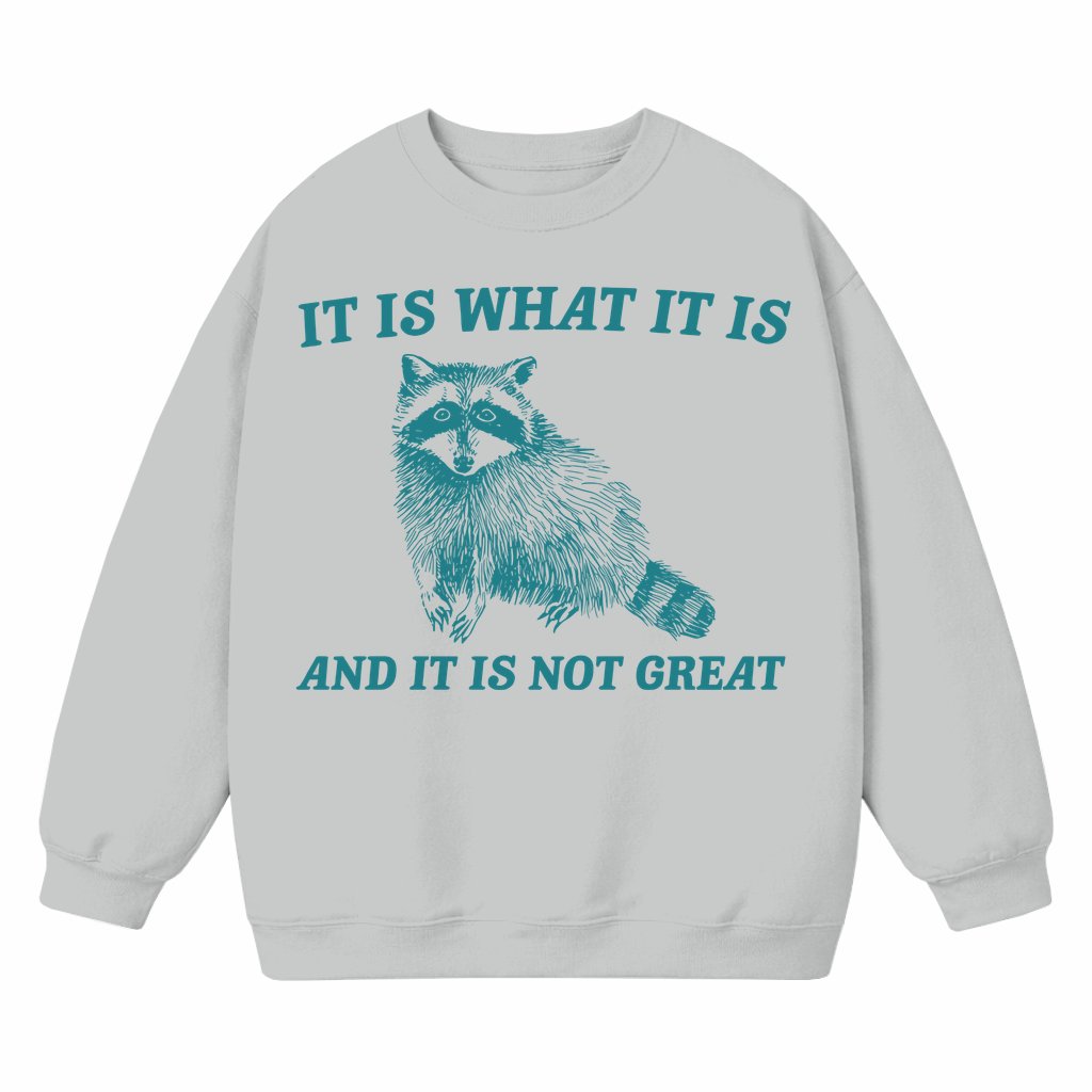 Funny Raccoon Meme Sweatshirt – Funny Gift for Him Her It Is What It Is Vintage - front view