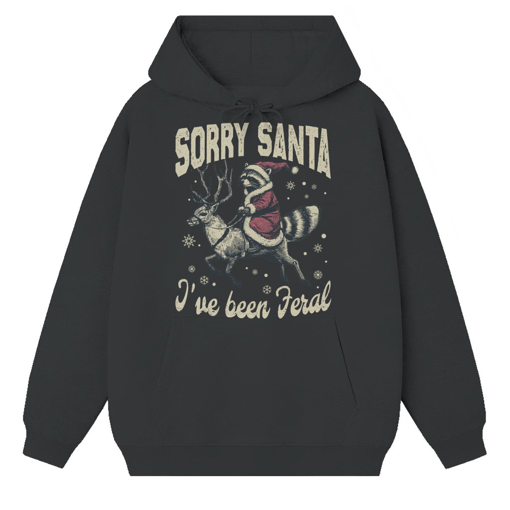 Sorry Santa Feral Raccoon Hoodie – Christmas Gift Funny Meme - front view