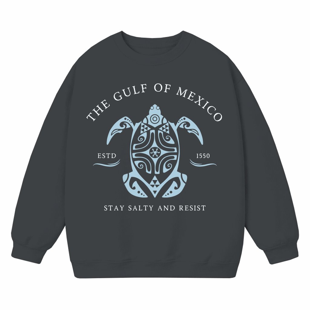 Gulf Coast Beach Sweatshirt – Travel Gift for Travelers Texas Alabama Florida Super Soft - front view