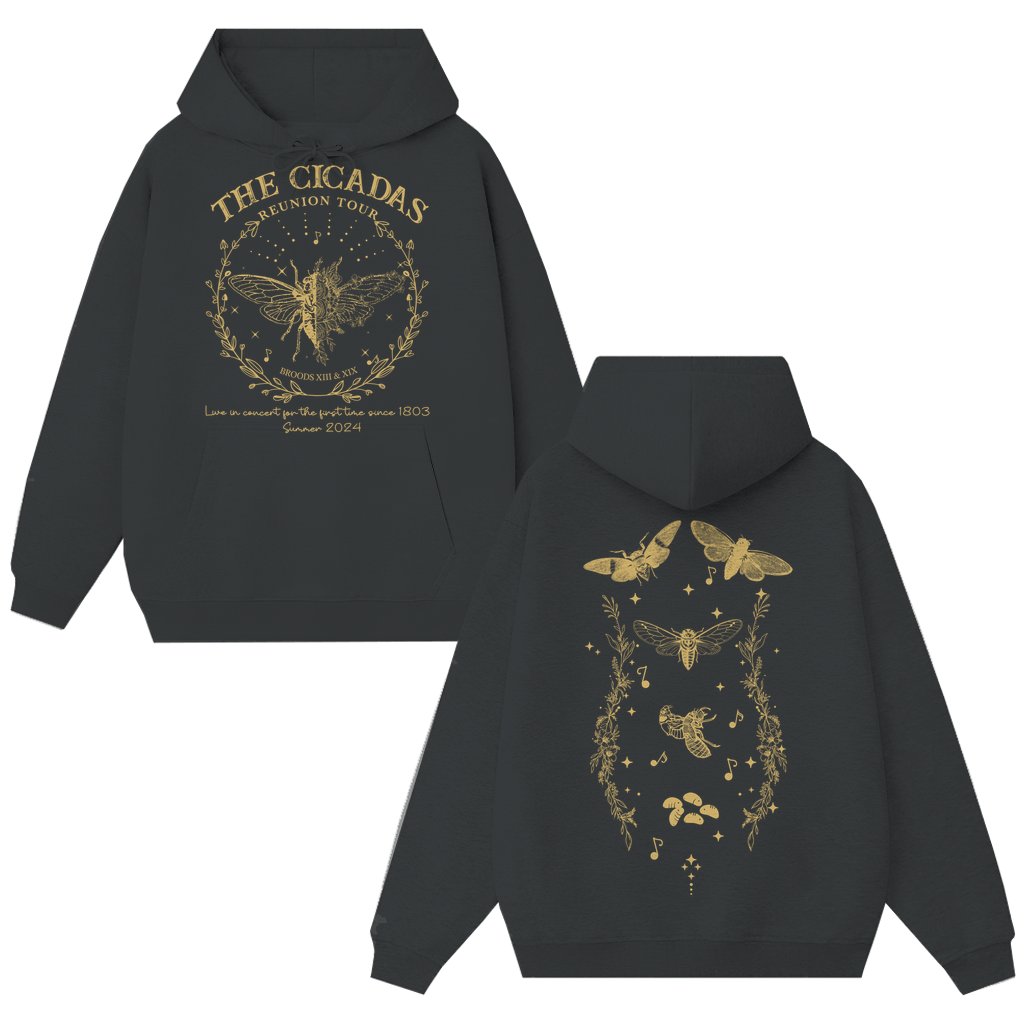 Year of Cicadas Hoodie – Funny Vintage Gift for Cicada Lover 2 Sided Print - front view