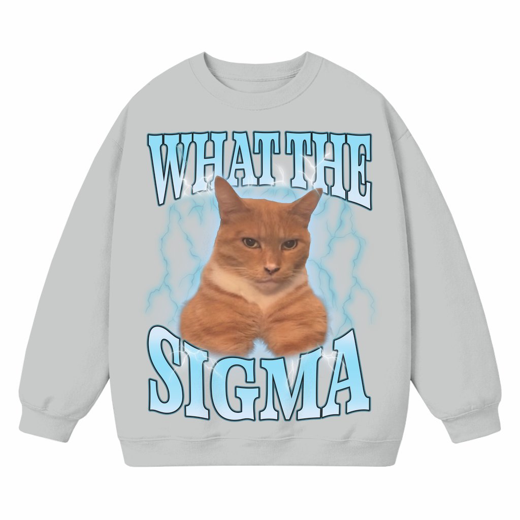 Funny Sigma Meme Cat Sweatshirt – Birthday Gift for Teen Y2K Streetwear - front view