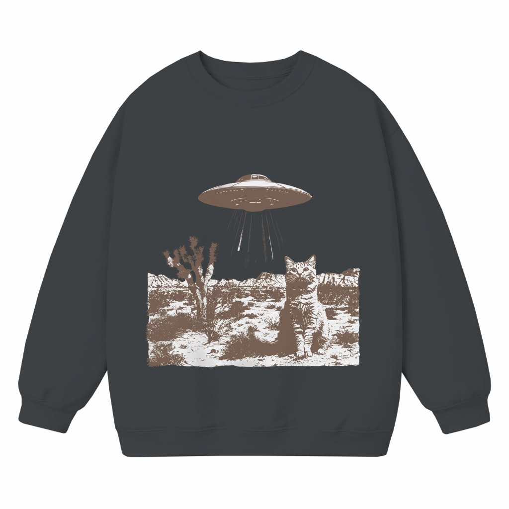 UFO Cowboy Cat Sweatshirt – Gift for Cat Lover Vintage Retro Funny Graphic - front view