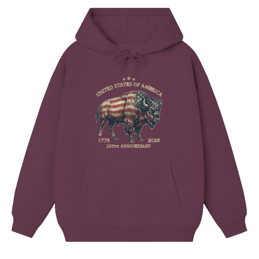 Retro 250th Anniversary of The United States Shirt, USA Independence Day T shirt, Semiquincentennial 1776 2026, American Flag Patriots Gifts - Hoodie - front view